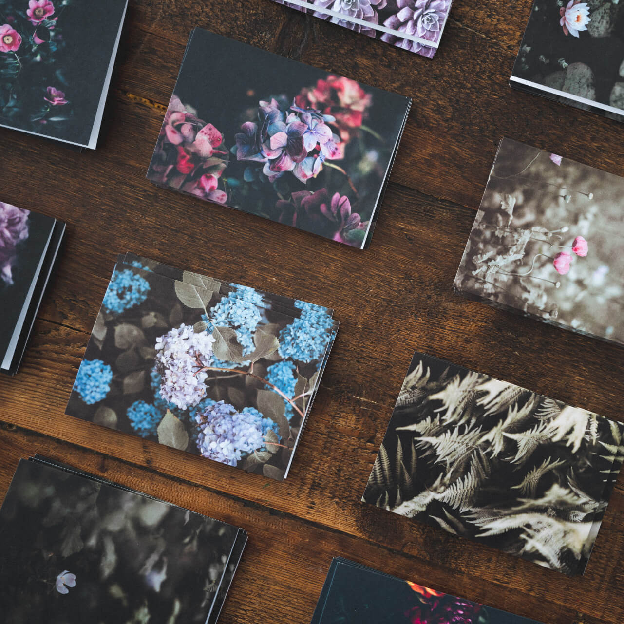 photos of nature on the table